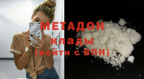 прущие грибы Абаза