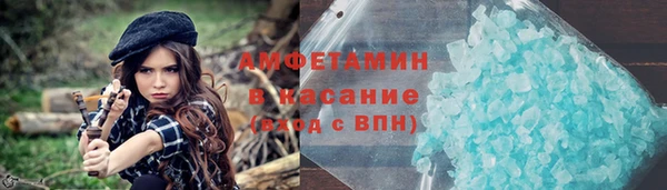 прущие грибы Абаза