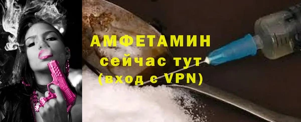 прущие грибы Абаза