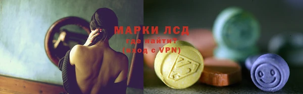 прущие грибы Абаза